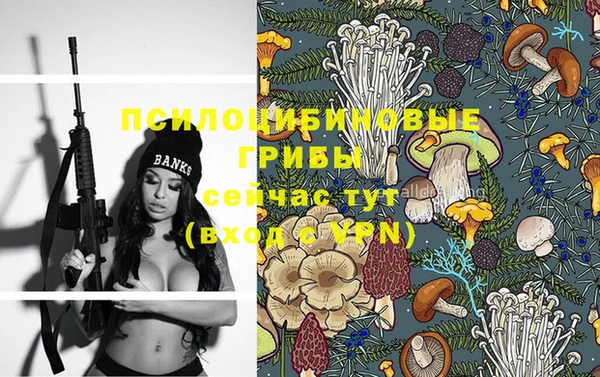 кристаллы Инта