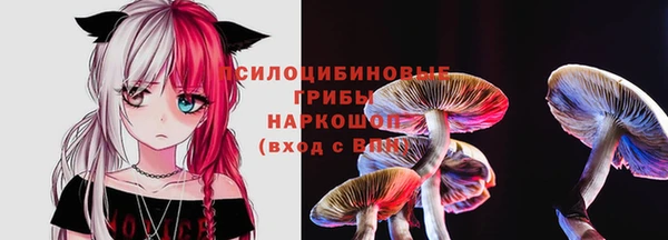 прущие грибы Инсар