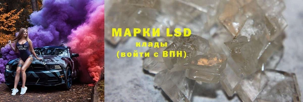прущие грибы Инсар