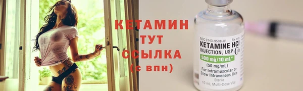 крисы Каменка