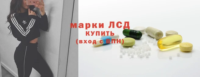 прущие грибы Инсар