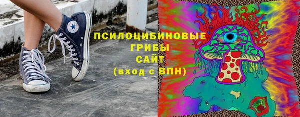кристаллы Инта