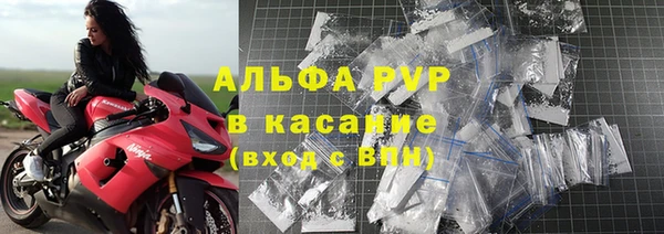 прущие грибы Инсар