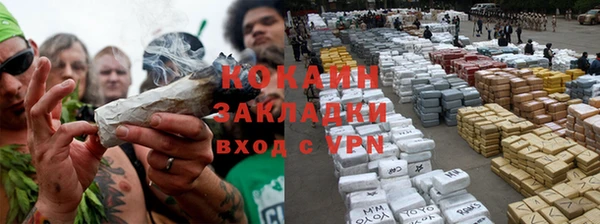 прущие грибы Инсар