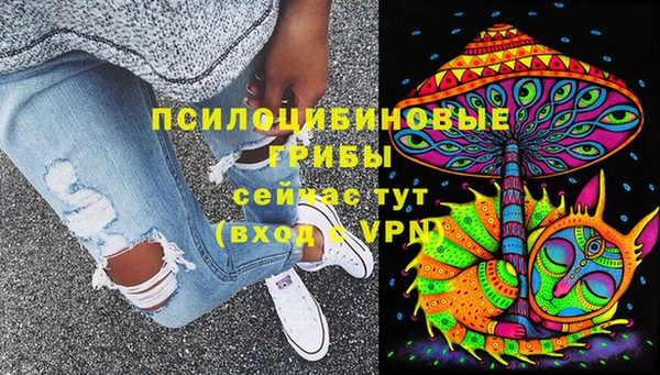 кристаллы Инта