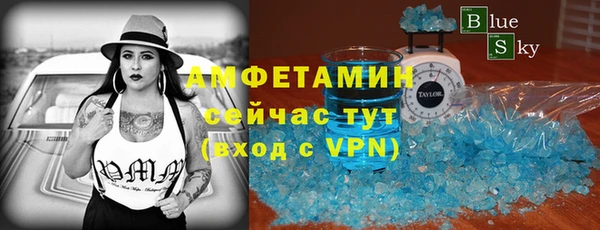 шишки Каменногорск