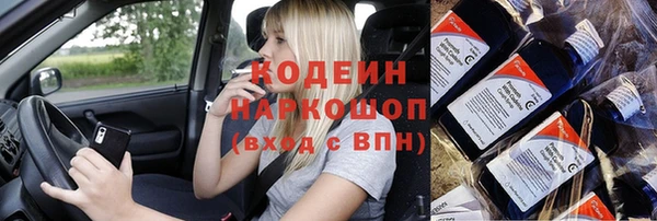 прущие грибы Инсар