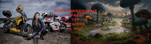 прущие грибы Инсар
