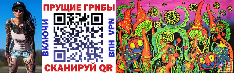Псилоцибиновые грибы Psilocybine cubensis  Славск 